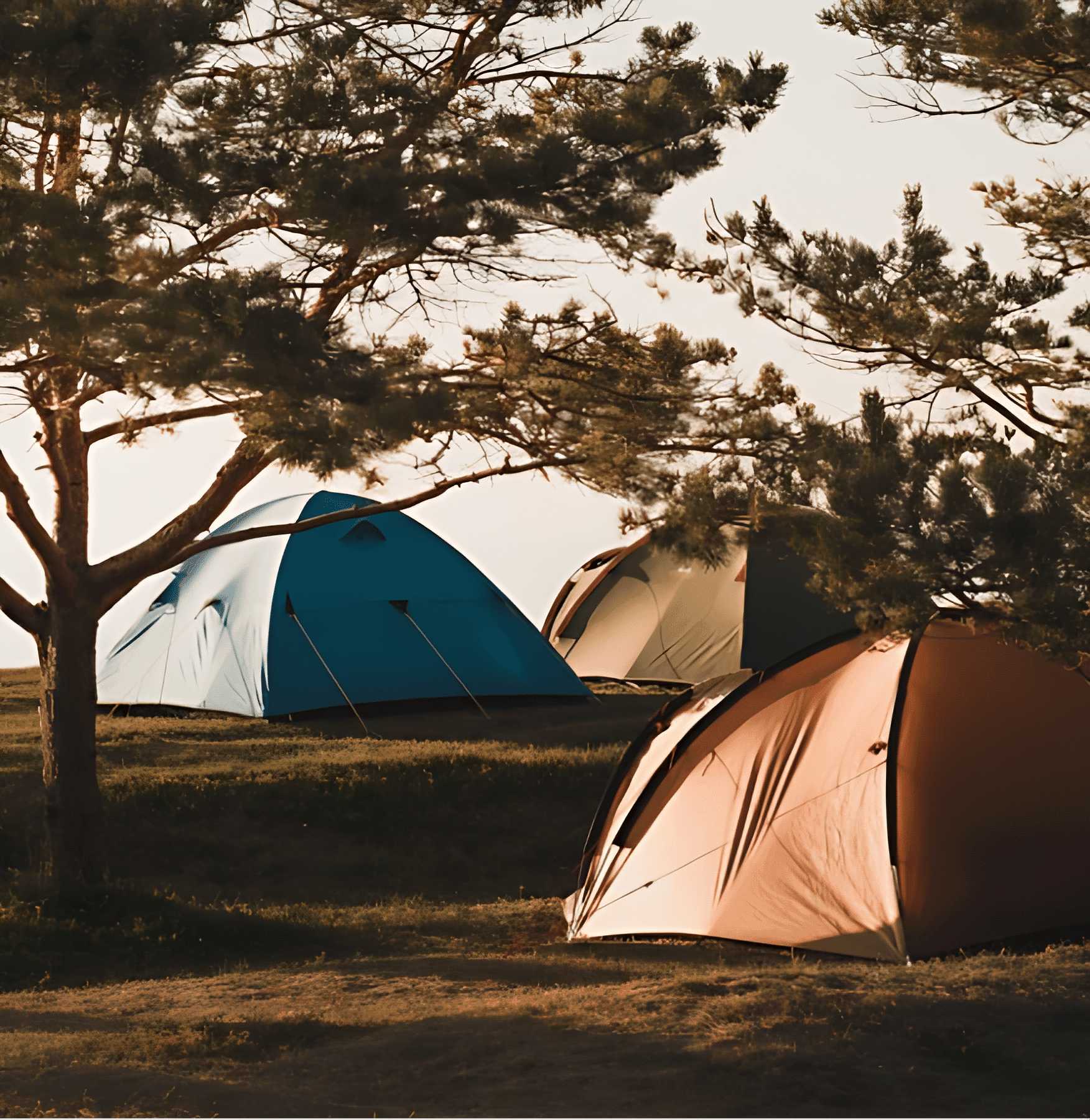 Camping