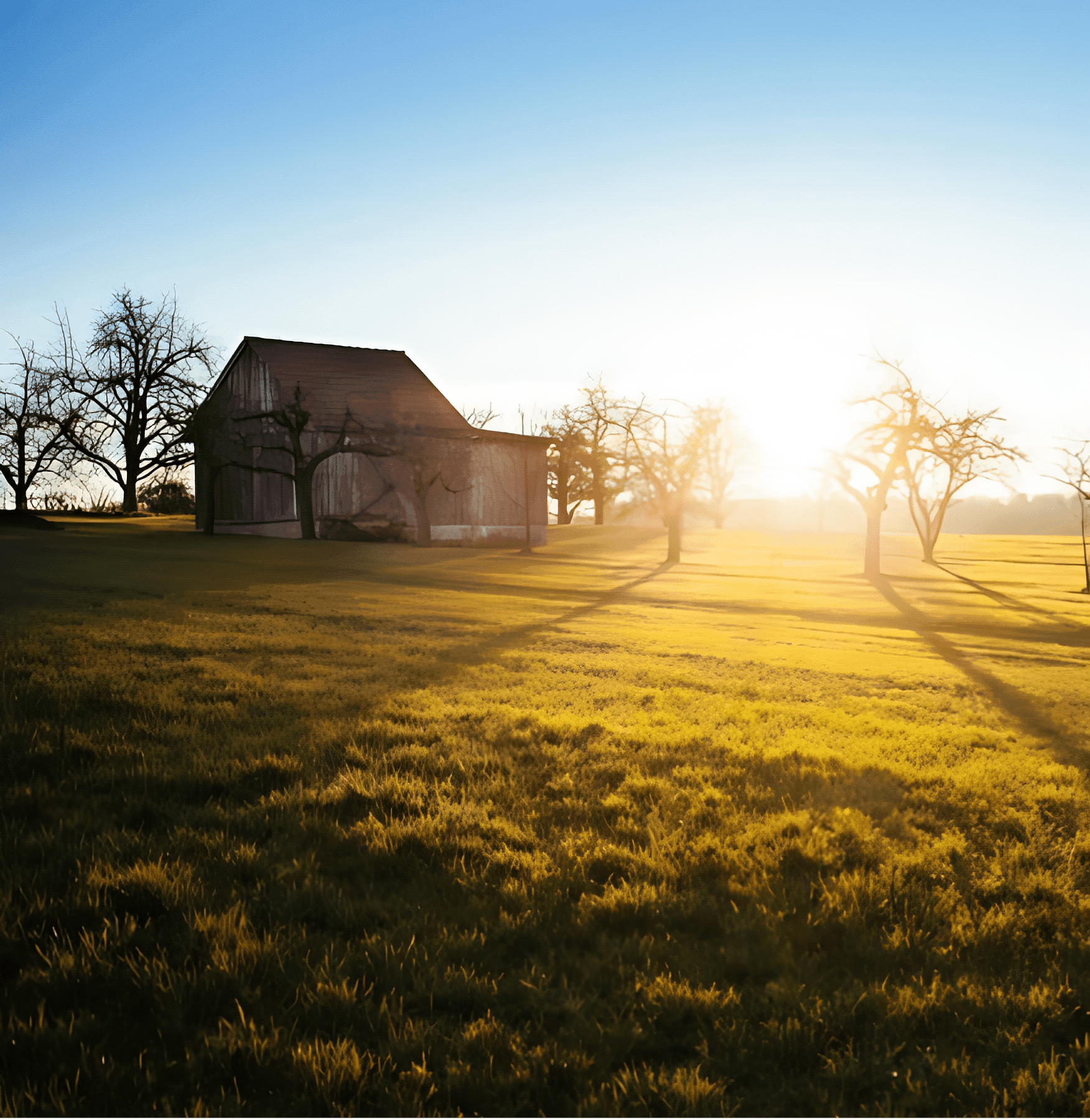 Farmstays